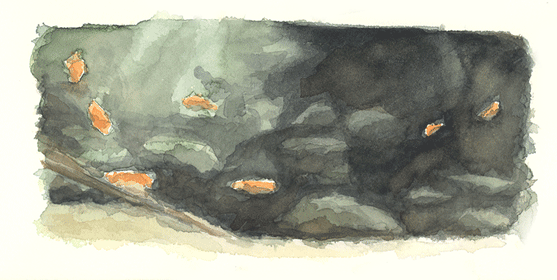 Fische